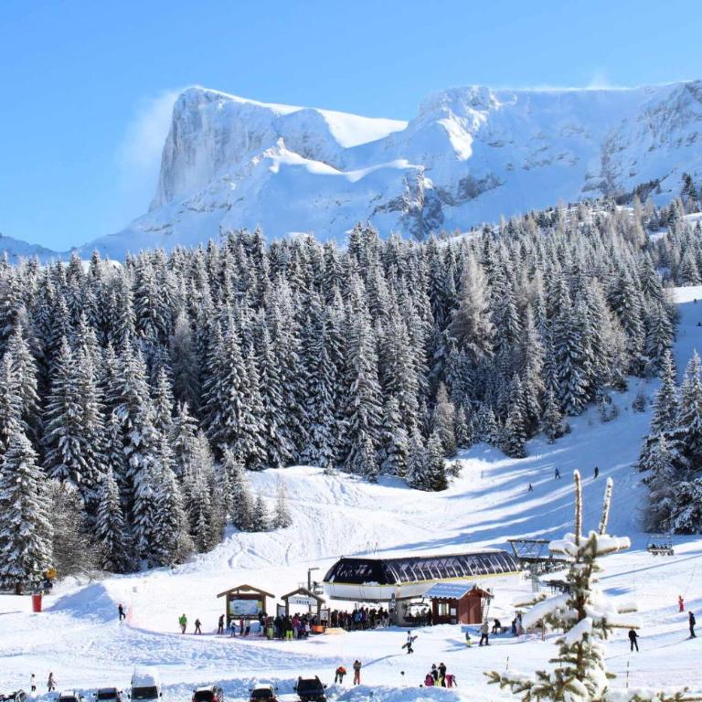 Les Chalets De Superd Bleuet - APPARTEMENT 4 PIECES 8 PERSONNES EXPO SUD MAE-8824 - Appartement - 23