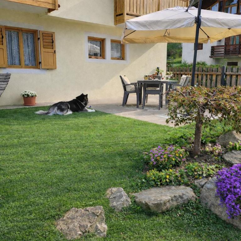 Appartamento Girasole - Apartment mit 2 Schlafzimmern - 3