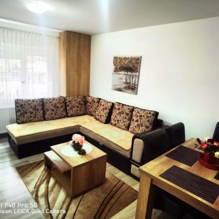 Dimitrijevic Lux - Apartman sa 1 Spavaćom Sobom - 8