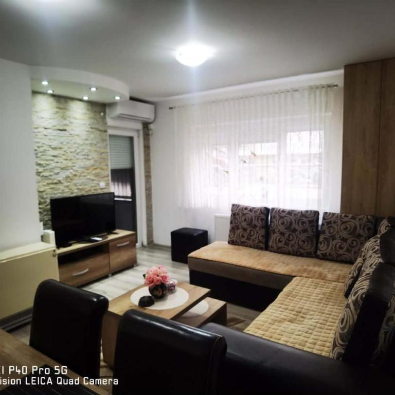 Dimitrijevic Lux - Apartman sa 1 Spavaćom Sobom - 9