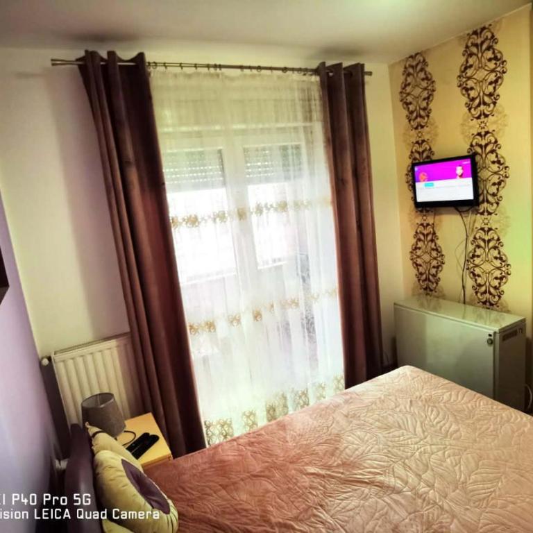 Dimitrijevic Lux - Apartman sa 1 Spavaćom Sobom - 10