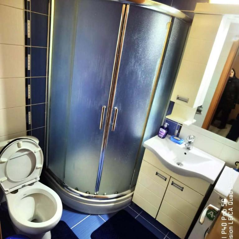 Dimitrijevic Lux - Apartman sa 1 Spavaćom Sobom - 11