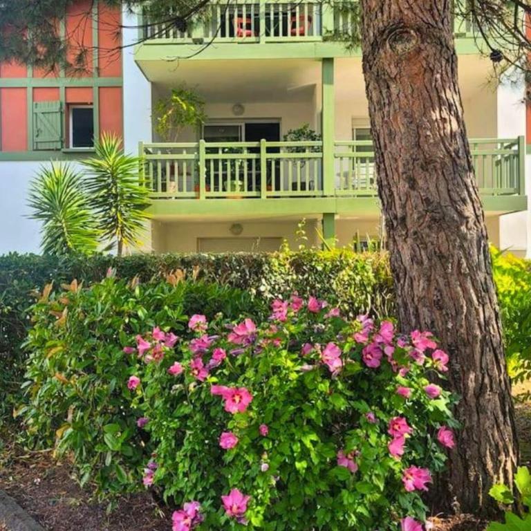 BERGES LANDAISES - Grand T2 avec terrasse exposée sud est - Apartamento de 1 dormitorio - 1