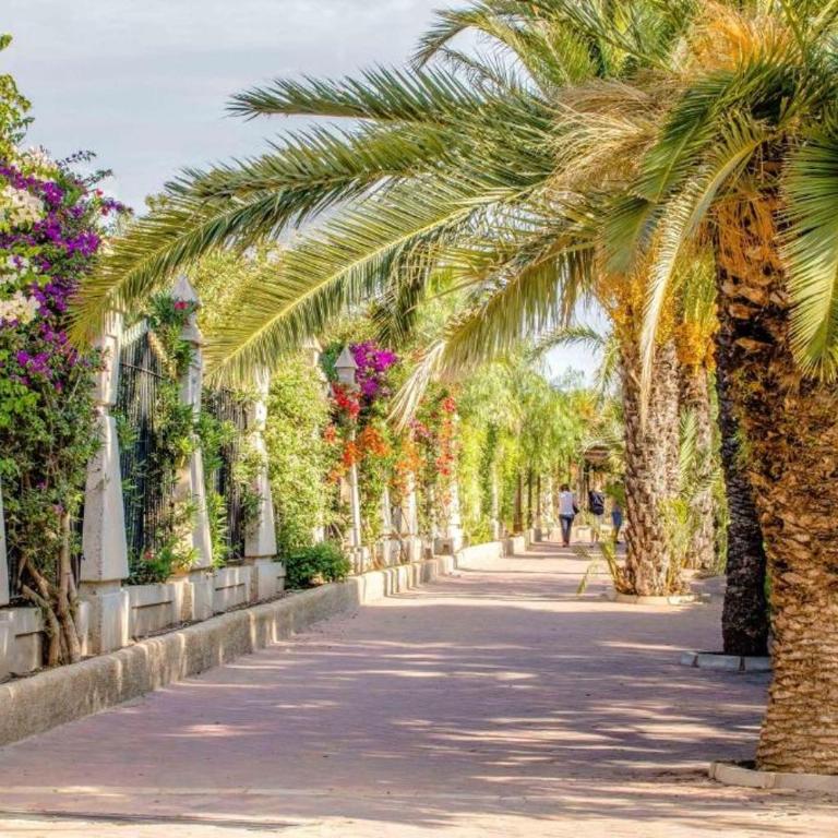 bonito apartamento en Torrevieja - Apartamento de 2 dormitorios - 27