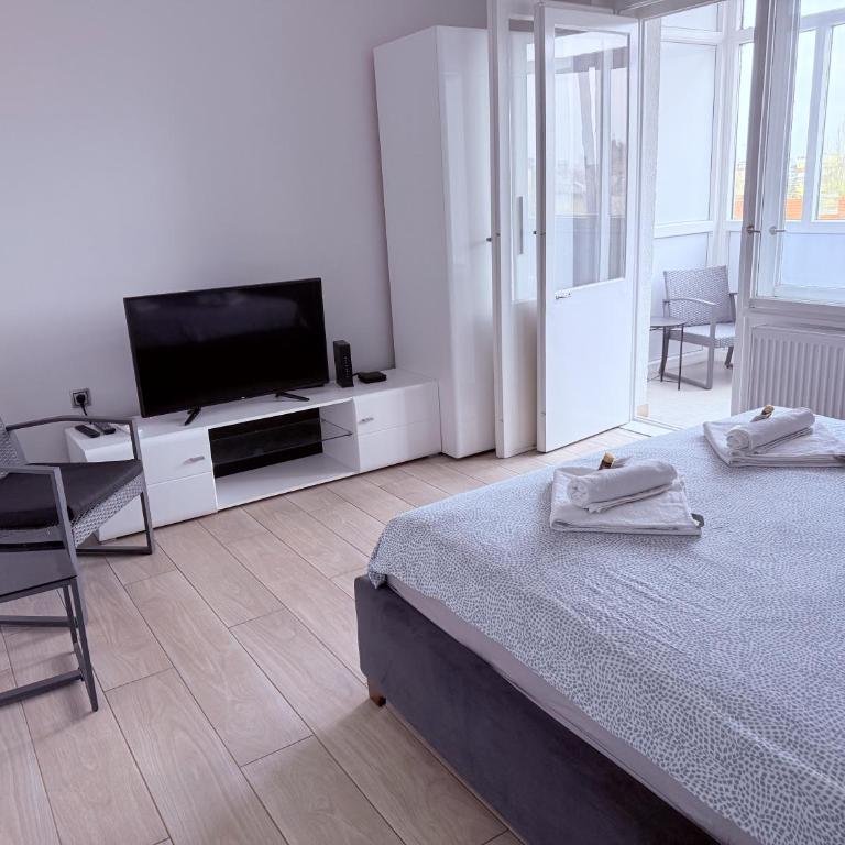 Danube-view City Center Apartment with Terrace - Apartman sa 1 Spavaćom Sobom - 20