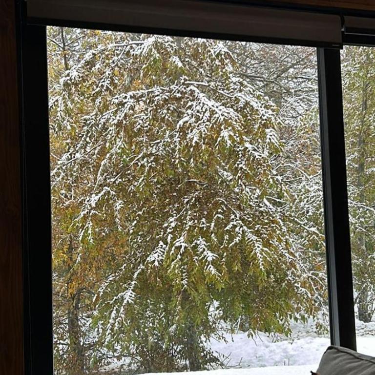 Refugio a minutos de Corralco - One-Bedroom Chalet - 6