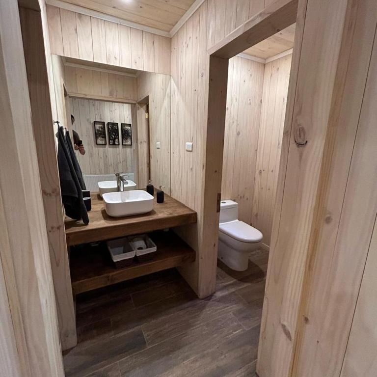 Refugio a minutos de Corralco - One-Bedroom Chalet - 8
