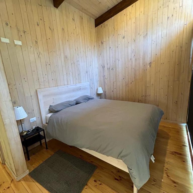 Refugio a minutos de Corralco - One-Bedroom Chalet - 21