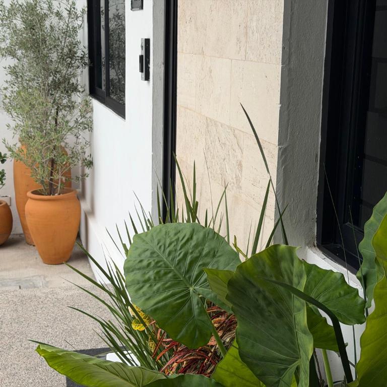 Casa DOS21 Boutique Apartments Playa Sur - One-Bedroom House - 24