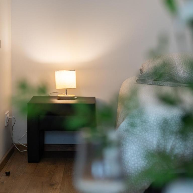 Studio Zen - 9 min sanctuaires - Rénové & équipé - 2 personnes - One-Bedroom Apartment - 18