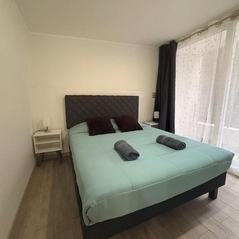 1H1B I Movistar Arena y Parque Ohiggins I Estacionamiento - One-Bedroom Apartment - 3