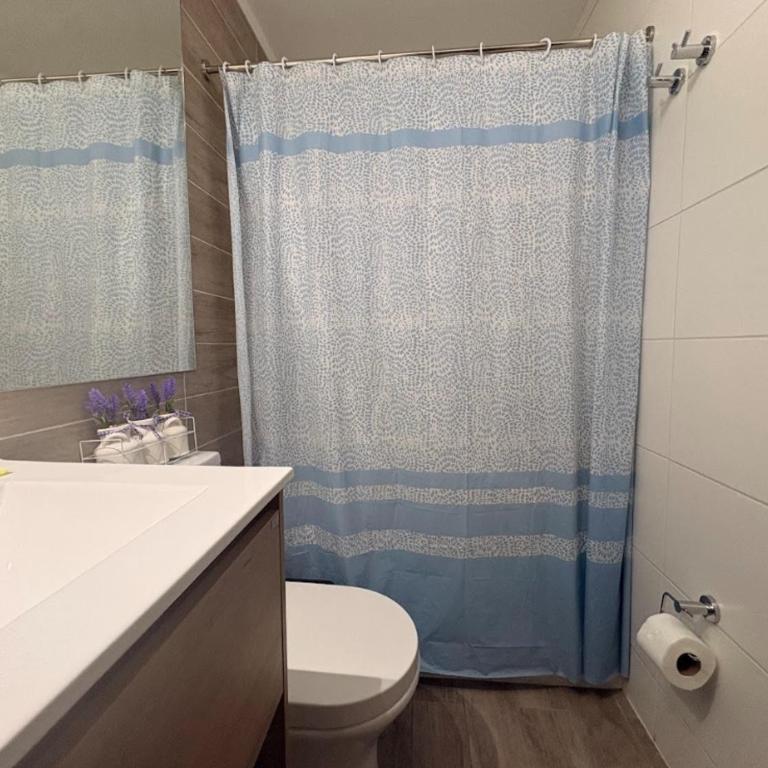 1H1B I Movistar Arena y Parque Ohiggins I Estacionamiento - One-Bedroom Apartment - 6