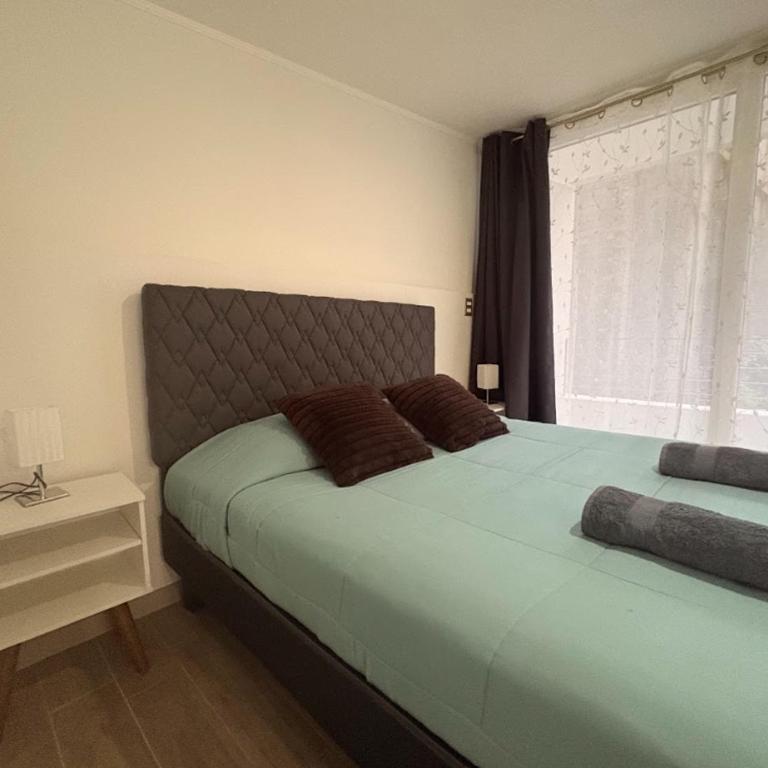 1H1B I Movistar Arena y Parque Ohiggins I Estacionamiento - One-Bedroom Apartment - 11