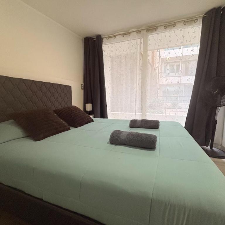 1H1B I Movistar Arena y Parque Ohiggins I Estacionamiento - One-Bedroom Apartment - 12