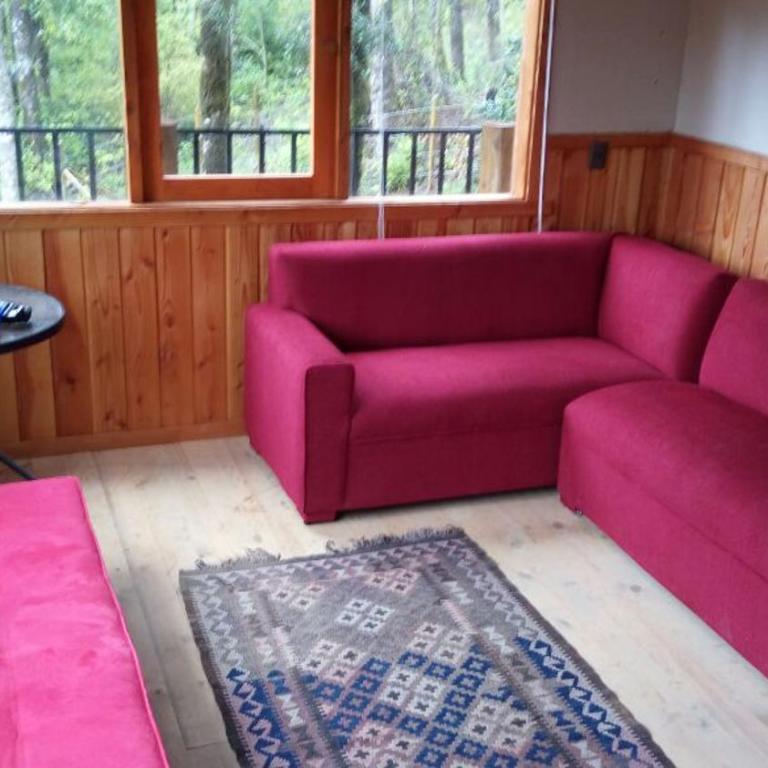 Cabaña Lago Villarrica ideal 2 familias - Casa de 5 dormitorios - 53