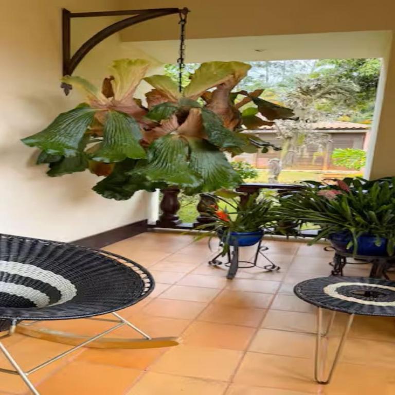 Hotel Boutique Villa Santillana - Suite con balcón - 24