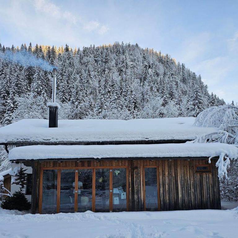 Deine Auszeit an der Talstation Winklmossalm - Skifahren und Wandern direkt ab der Haustür - Apartment mit 2 Schlafzimmern - 53