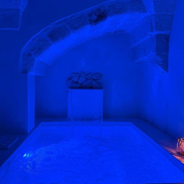 Jungle Suite - Appartamento con 1 Camera da Letto - 1