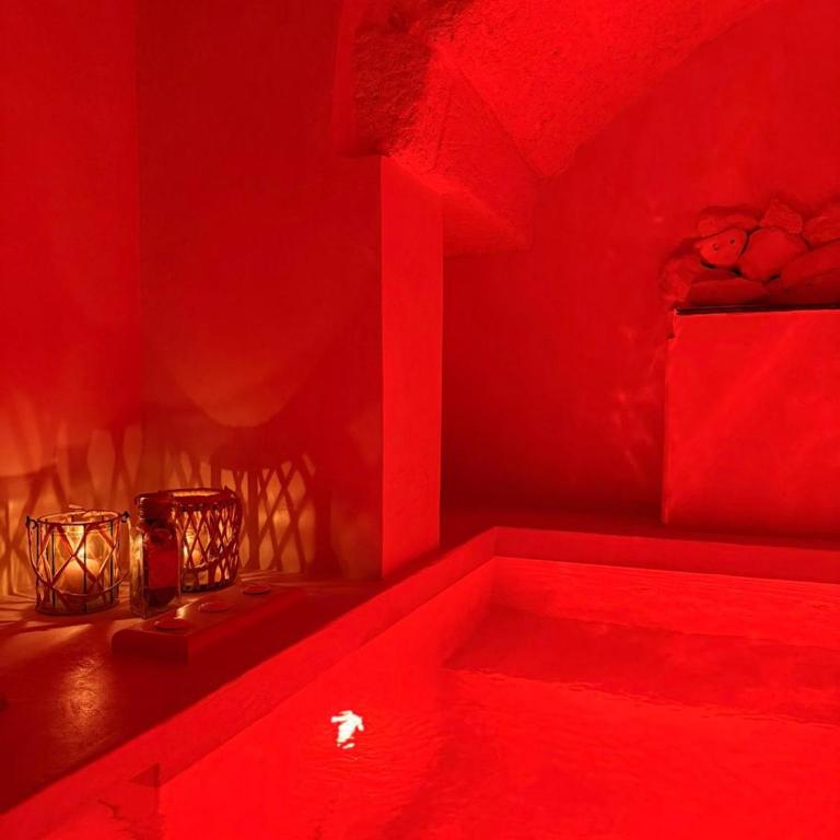 Jungle Suite - Appartamento con 1 Camera da Letto - 30