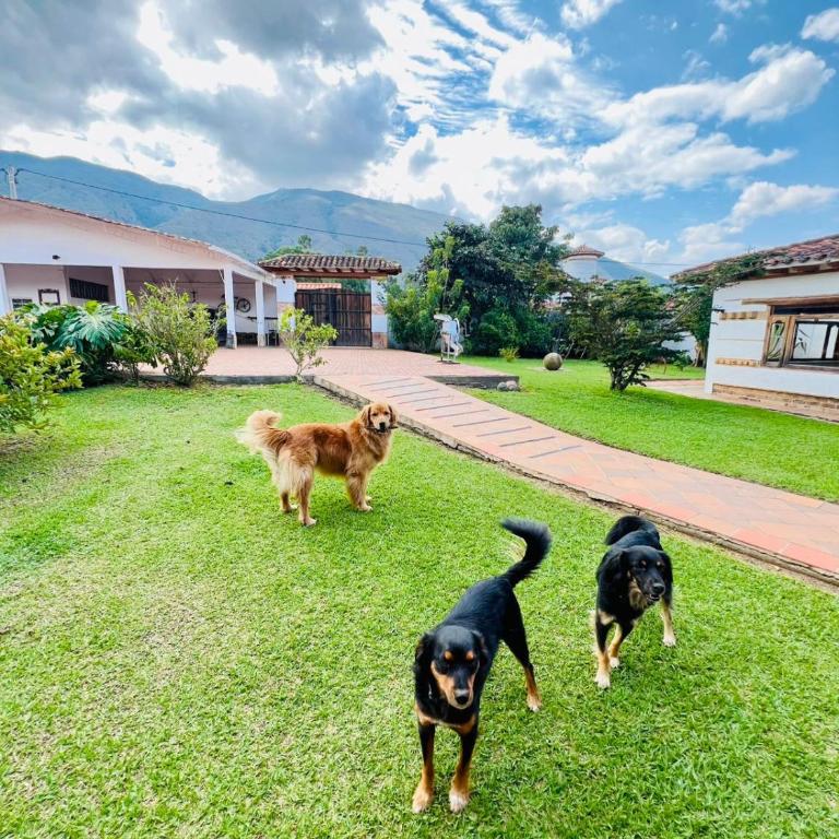 Hacienda Campestre Oasis de la Villa - Five-Bedroom House - 22