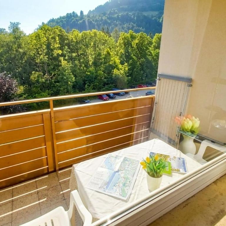 SIMON Haus KMB Seeappartement am Ossiacher See, Hallenbad, Skiarena Gerlitzen - Apartment mit 2 Schlafzimmern und Balkon - 12