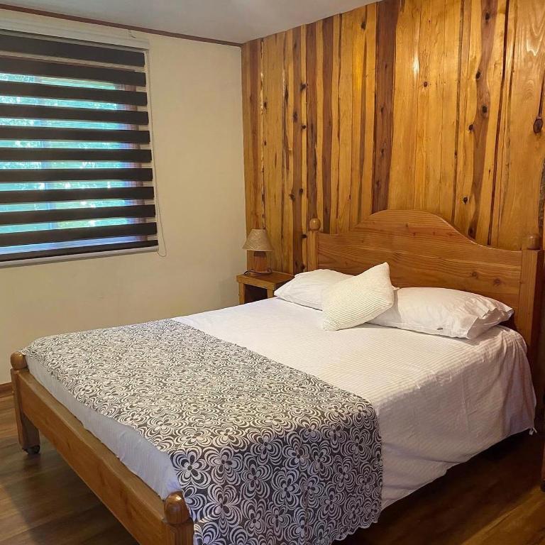 Ruka Pucón Hostel - Double Room with Private Bathroom - 1