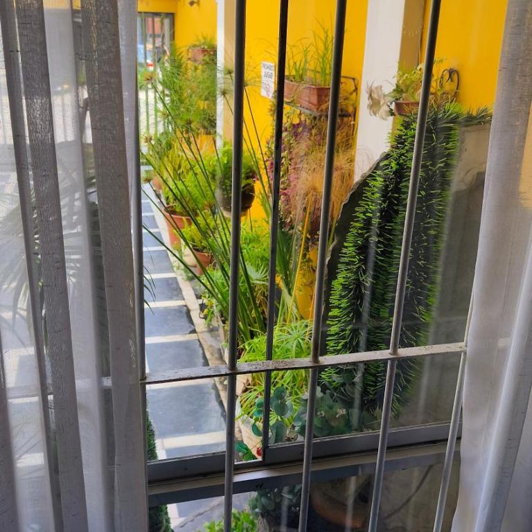 Lima Virreinal & primer piso muy acogedor - Apartamento - 5