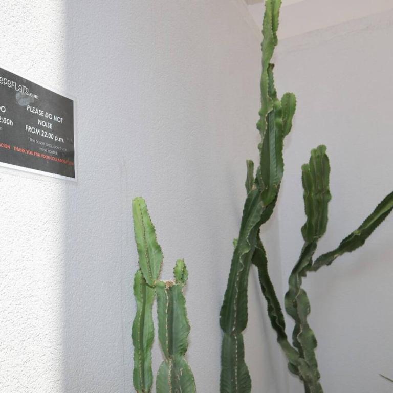 PepeFlats - VLC City House with garage, city ciencias - Three-Bedroom House - 6