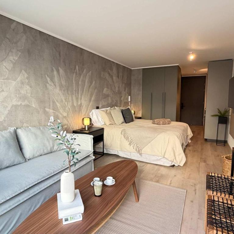 HOM ELITE I Las Condes I Wifi I Aire Acondicionado - Apartment - 18