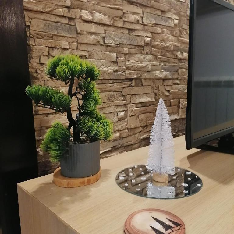 PLANINSKI KUTAK Tara - Apartman 1 - Apartman sa 1 Spavaćom Sobom - 28