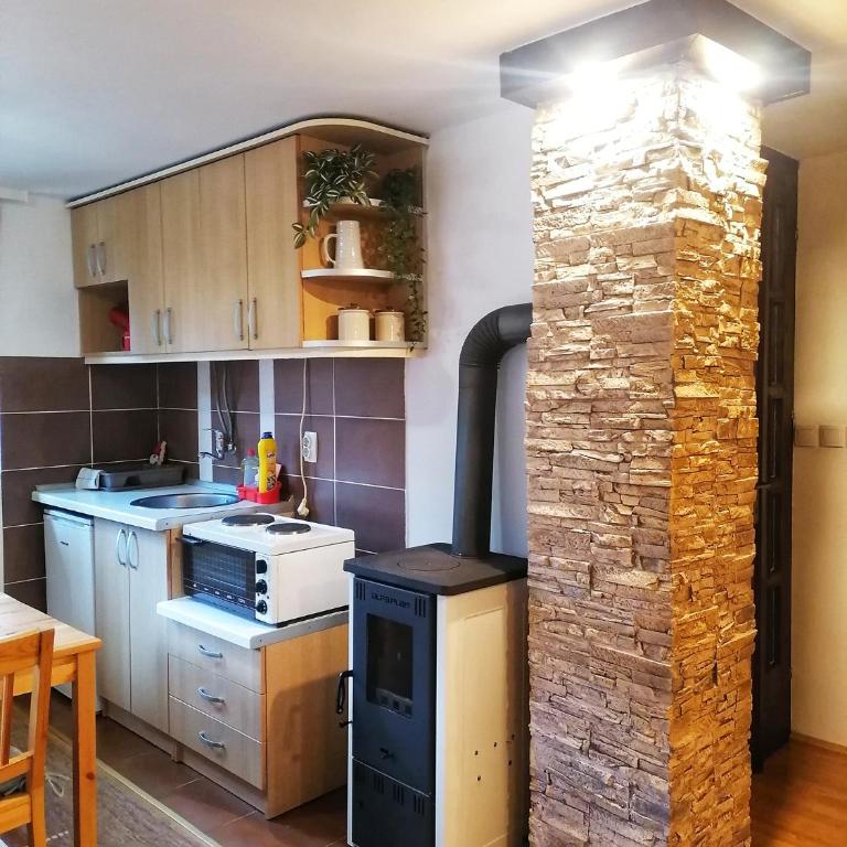 PLANINSKI KUTAK Tara - Apartman 1 - Apartman sa 1 Spavaćom Sobom - 24