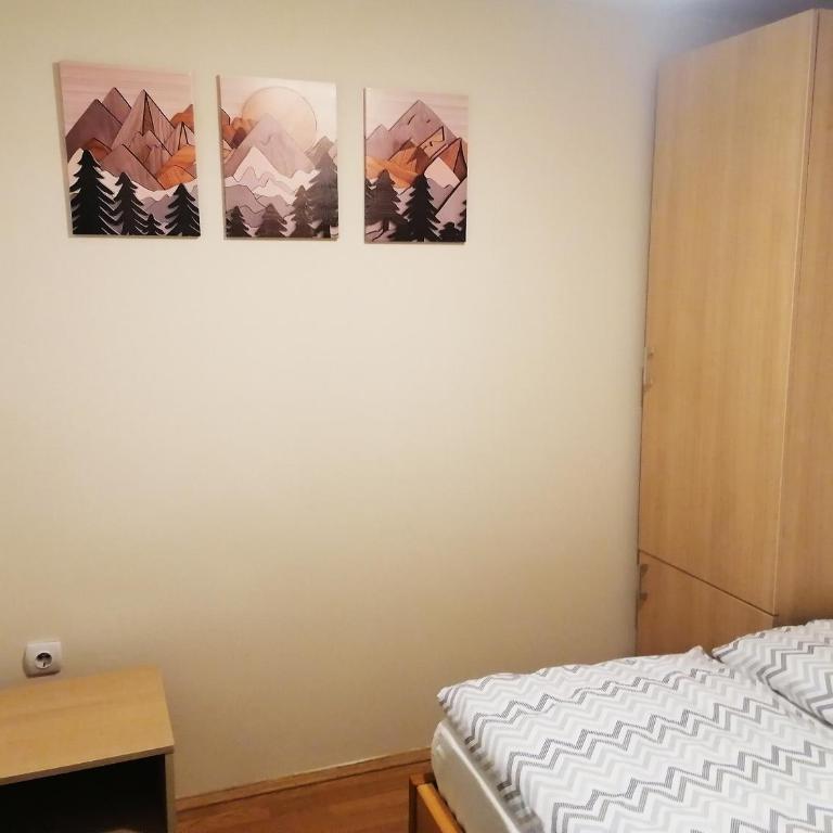 PLANINSKI KUTAK Tara - Apartman 1 - Apartman sa 1 Spavaćom Sobom - 26