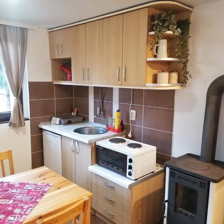 PLANINSKI KUTAK Tara - Apartman 1 - Apartman sa 1 Spavaćom Sobom - 23