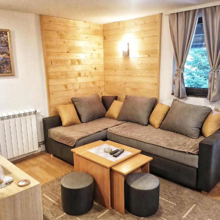 PLANINSKI KUTAK Tara - Apartman 1 - Apartman sa 1 Spavaćom Sobom - 20