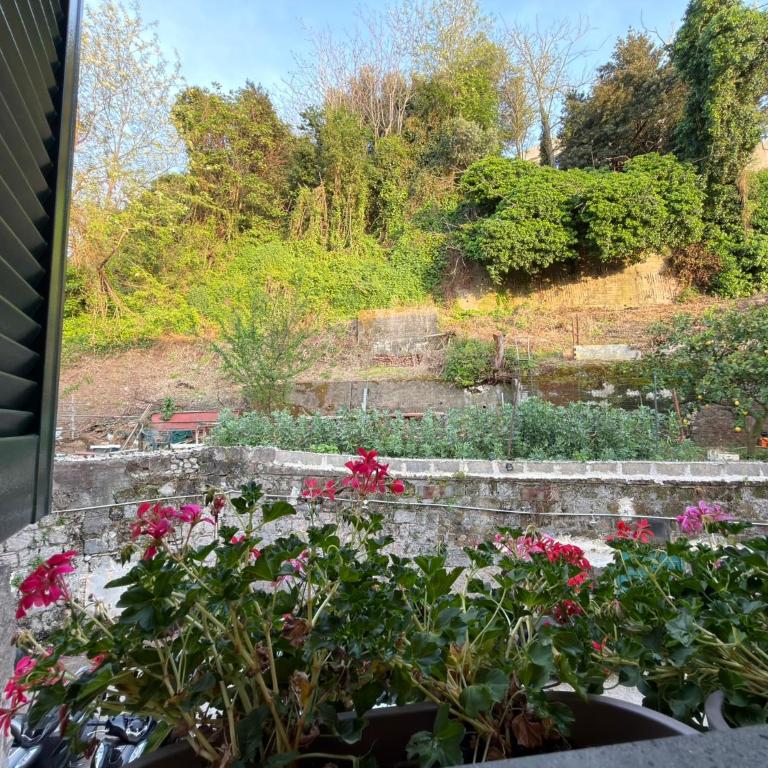 Sweet Home QuiSiSana - Casa Vacanze - 10