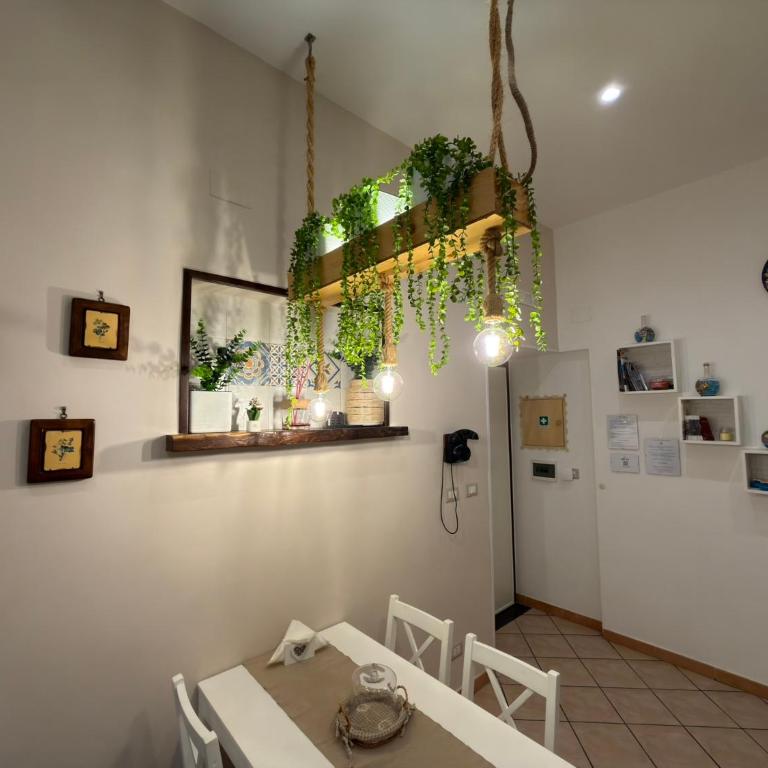 Sweet Home QuiSiSana - Casa Vacanze - 1