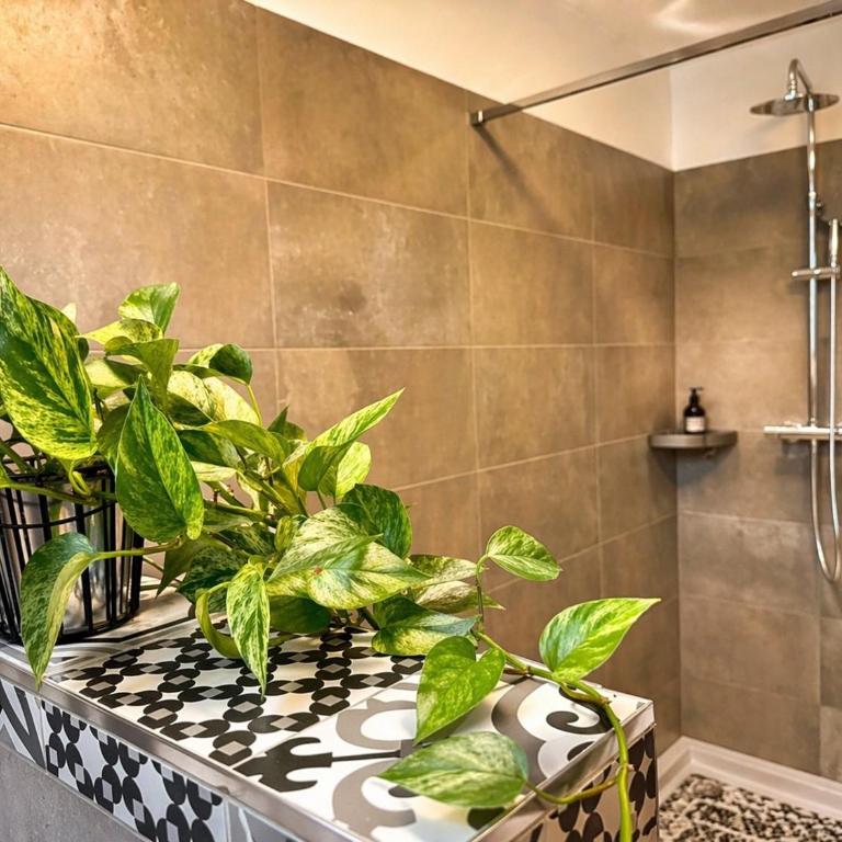 KOASA HOF Bed and Breakfast - Queen Room - Disability Access - 2