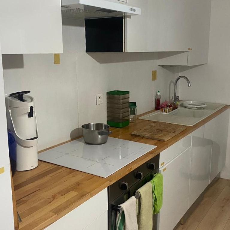 Chambre s à 14 min de la plage Promenade des Anglais à pieds - Habitación Doble con vistas al jardín - 4