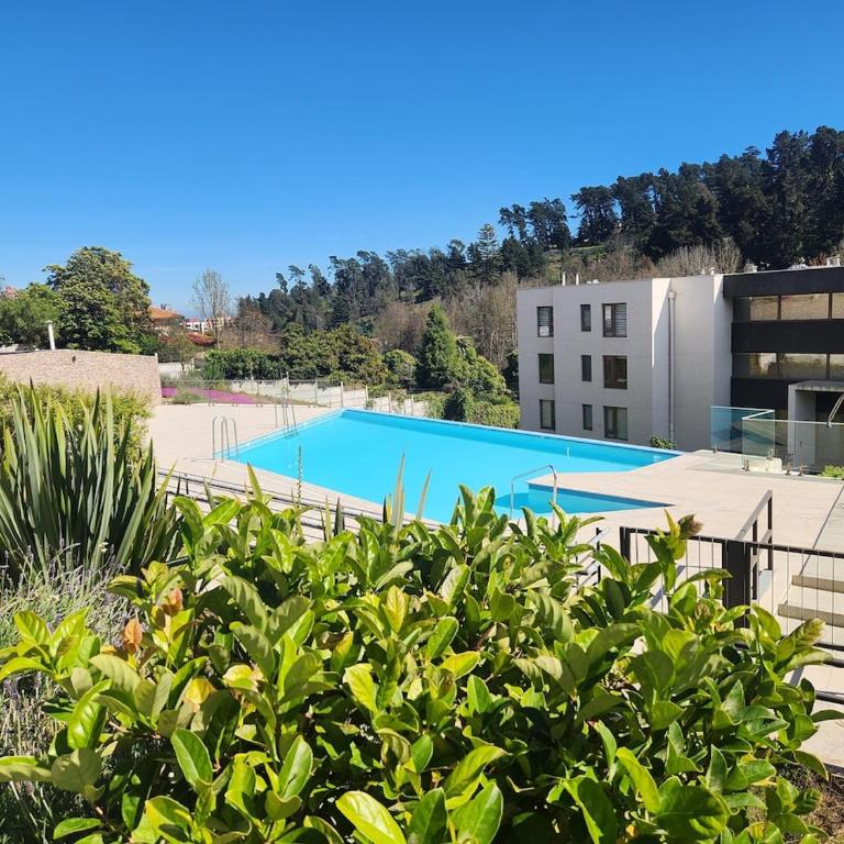 Apartment in Reñaca with pool - One-Bedroom Apartment - 1