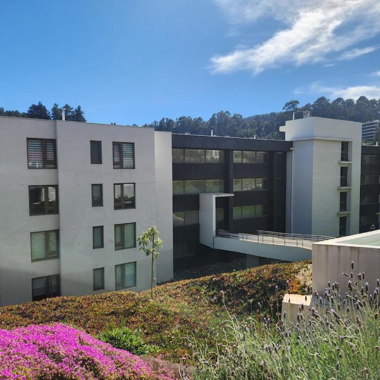Apartment in Reñaca with pool - One-Bedroom Apartment - 37