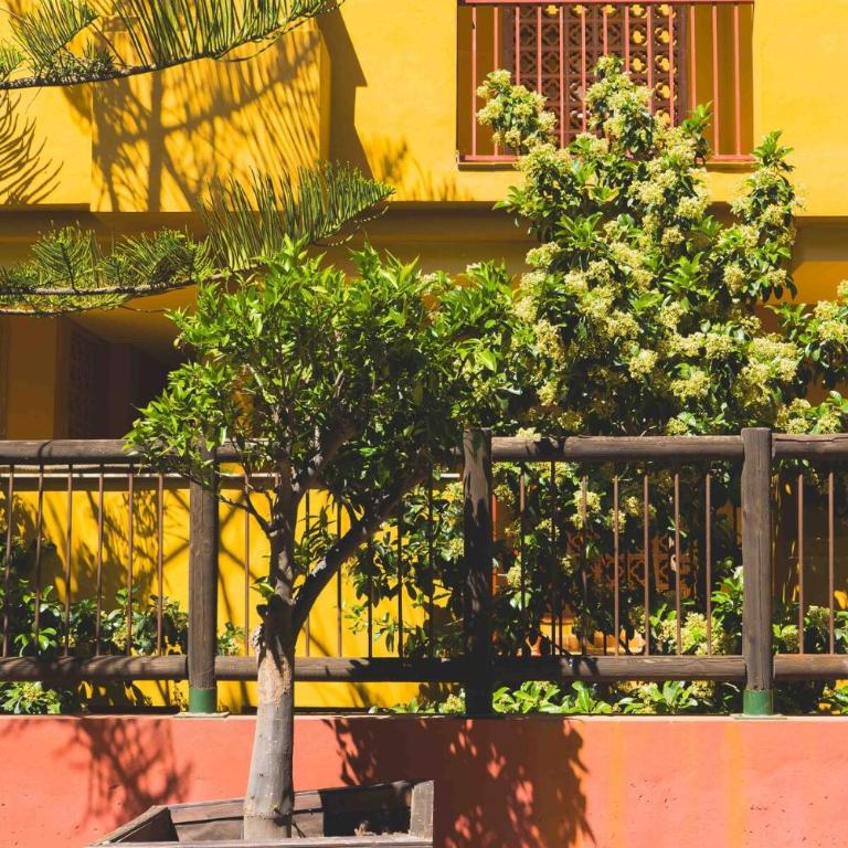 Ap. Reserva de Marbella 3 - Apartment - 38