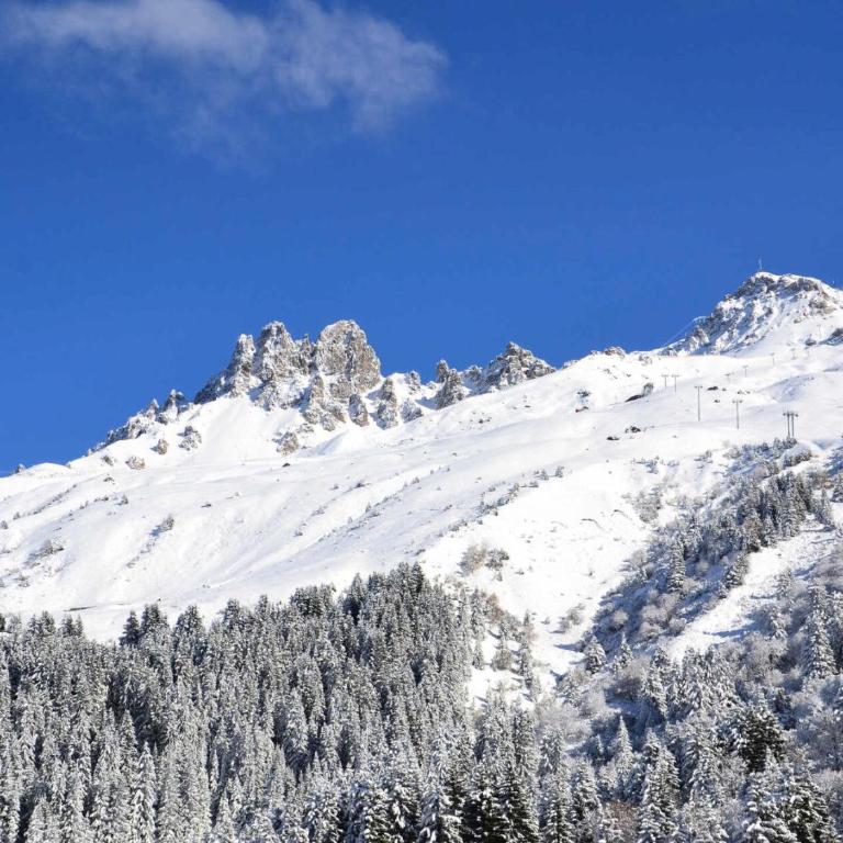 Résidence Creux De L Ours B - CHARMANT 3 PIÈCES DUPLEX - SKIS AUX PIEDS - VUE PISTES MAE-7654 - Appartamento - 10