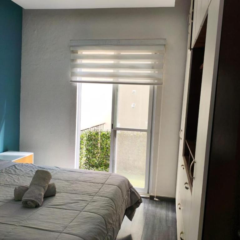 Elegant apartment next to Chapultepec - Two-Bedroom Apartment - 3