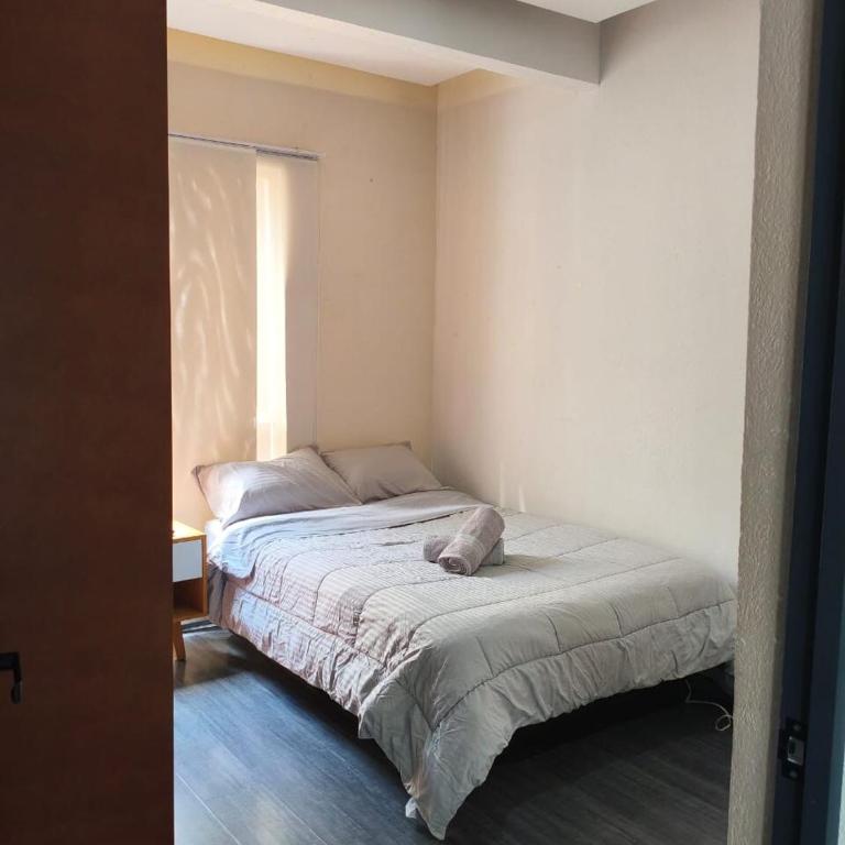 Elegant apartment next to Chapultepec - Two-Bedroom Apartment - 14