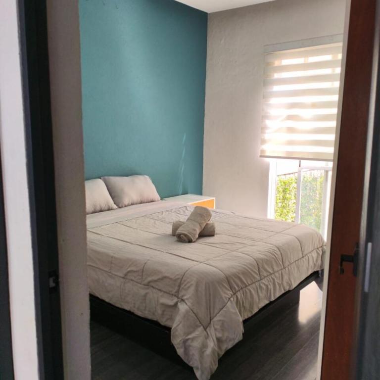 Elegant apartment next to Chapultepec - Two-Bedroom Apartment - 26