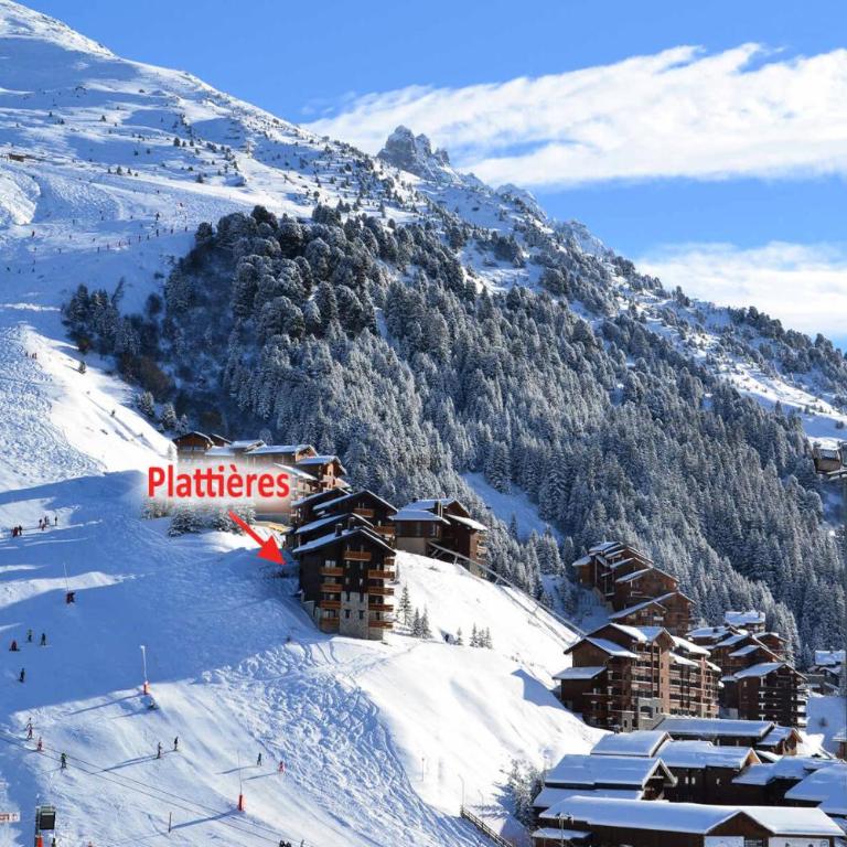 Résidence Plattieres - VUE D'EXCEPTION SUR MONT VALLON, PLEIN SUD, SKIS AUX PIEDS MAE-2801 - Apartamento - 6