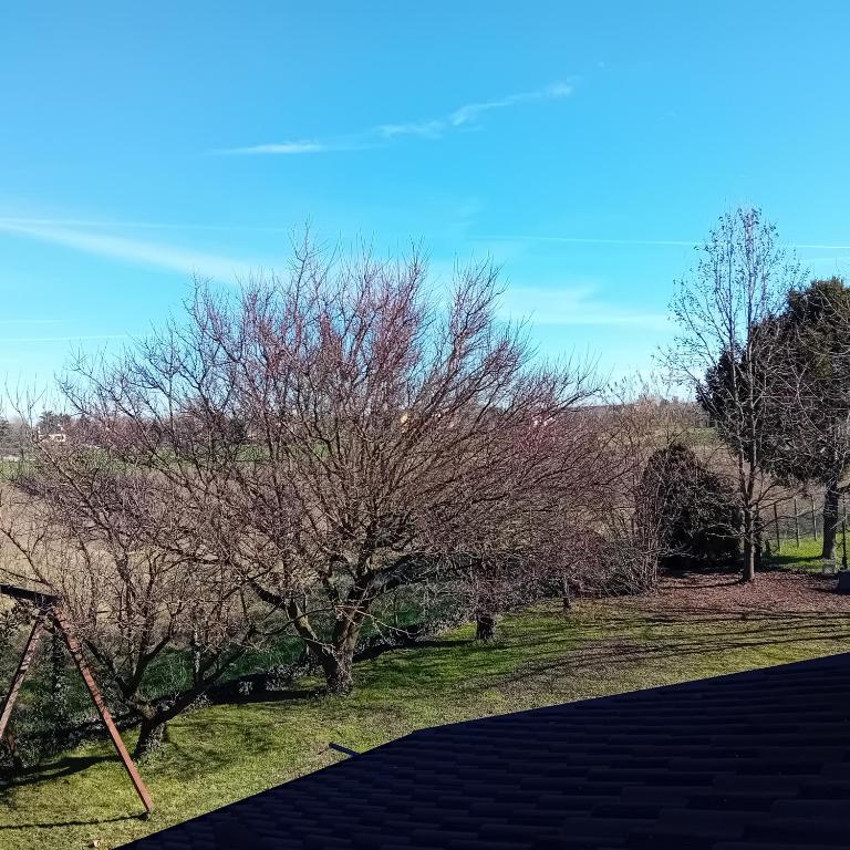 Apartment 19 - Appartamento con 3 Camere da Letto - 14