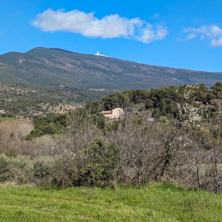 Gîte au pied du Mont Ventoux - Terrasse, piscine, nature - Appartement 1 Chambre - 5