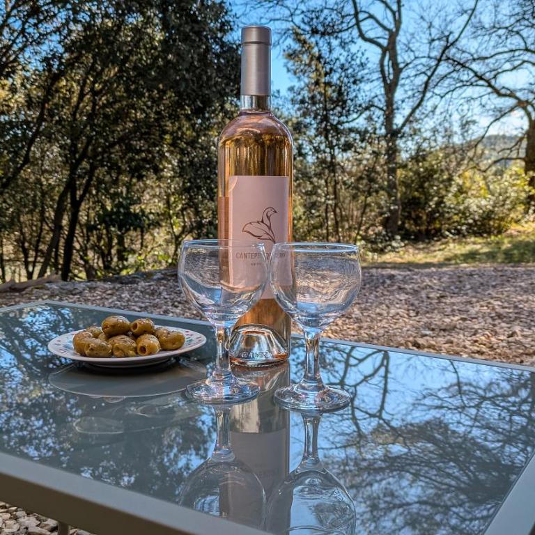 Gîte au pied du Mont Ventoux - Terrasse, piscine, nature - Appartement 1 Chambre - 18
