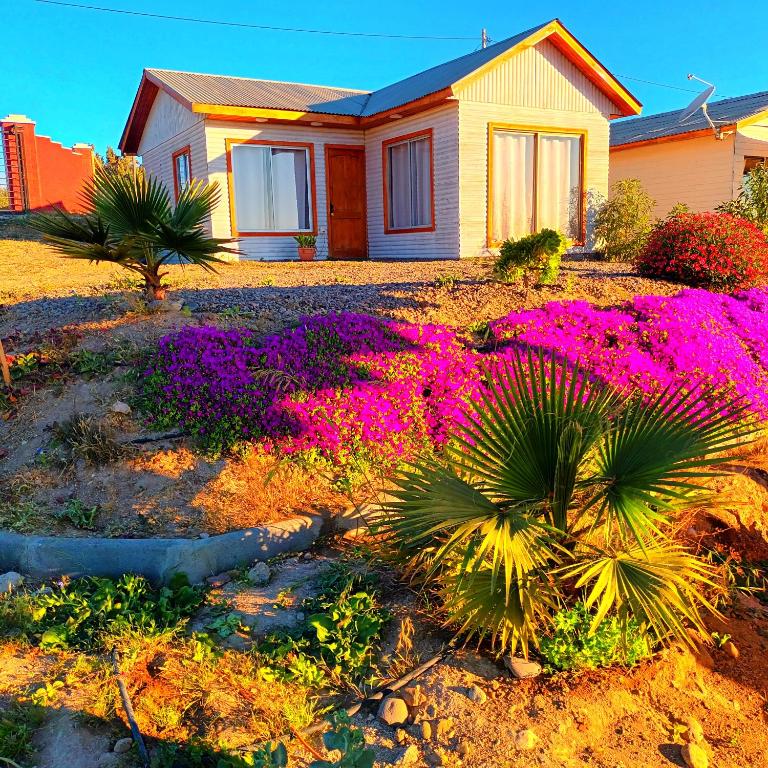 Cabaña Vista Panorámica al Mar - One-Bedroom Apartment - 20